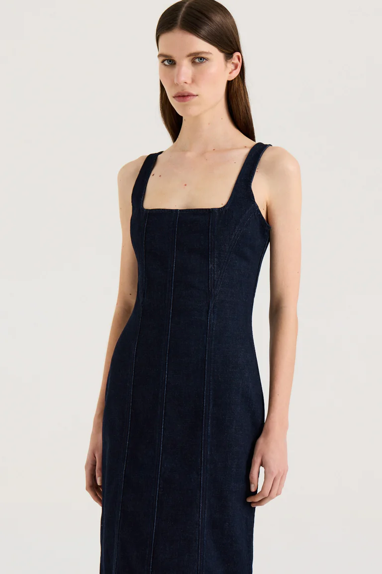 Radie Black Dress